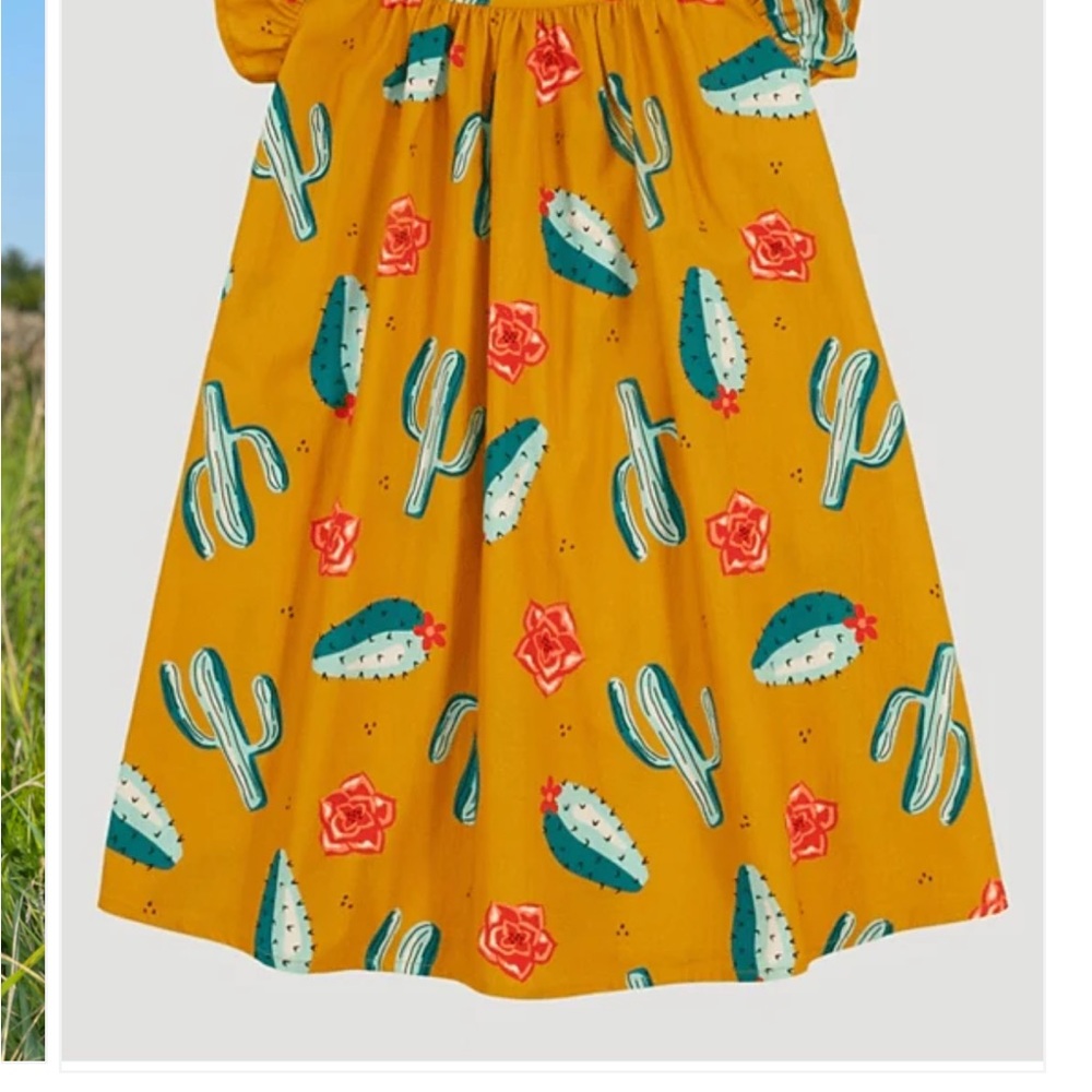 Girls Adorable Dress or Long Shirt